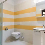 Lovely In With Jacuzzi Bibici